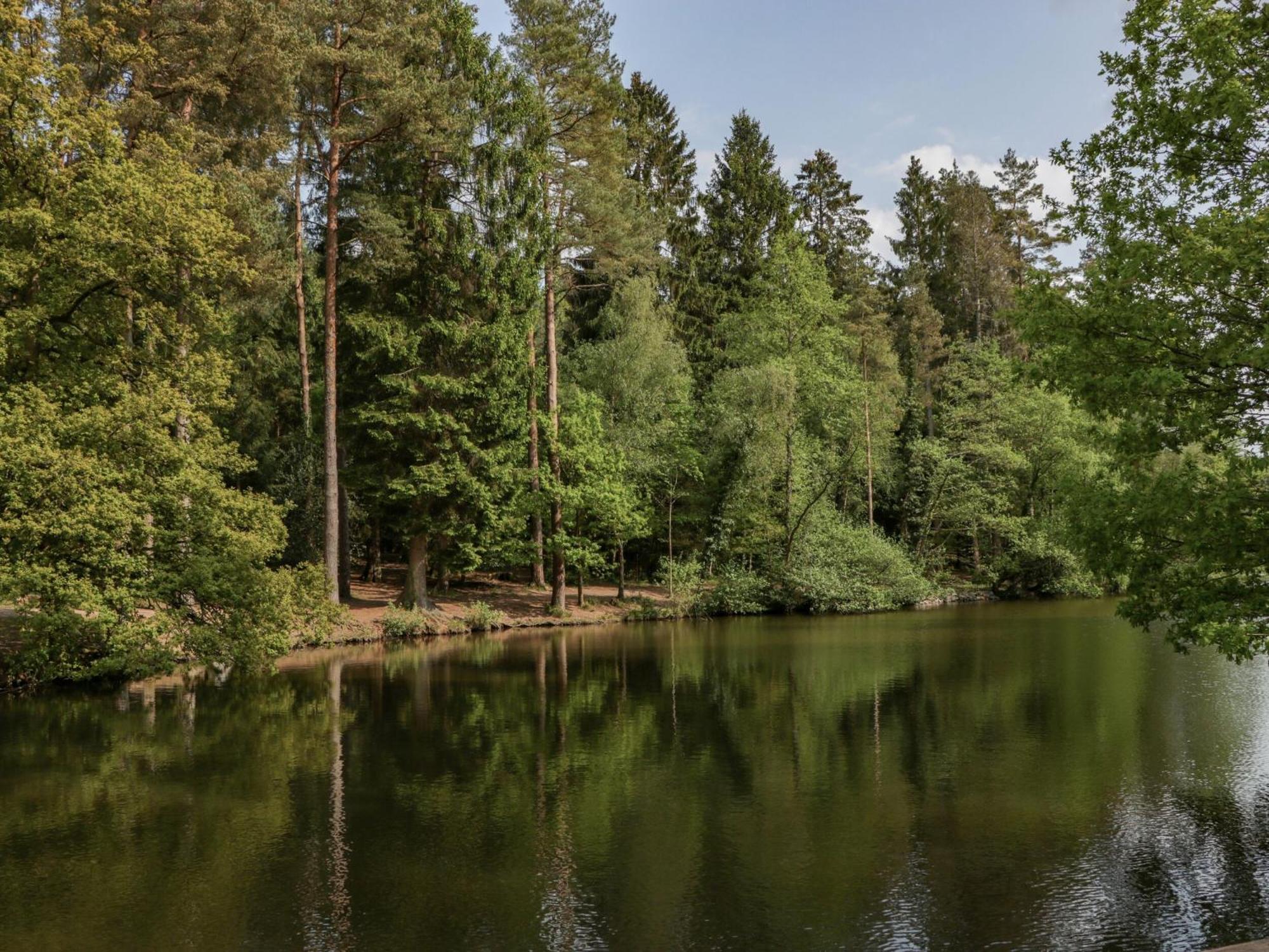 Rose Cottage Лидней Экстерьер фото